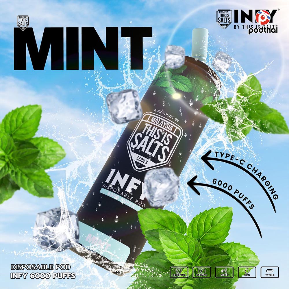 INFY 6000 Puffs Disposable